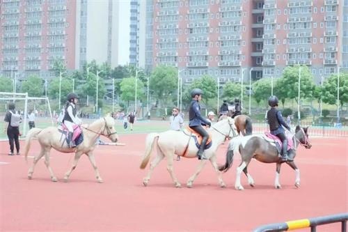 句容碧桂园学校马术