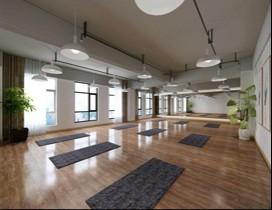 湖北铂凌瑜伽舞蹈学院