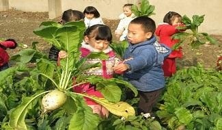 我们一起拔萝卜