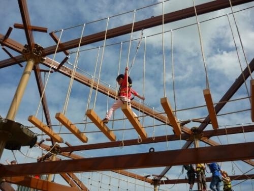 北京引航者教育