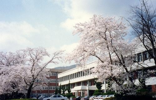 顺天大学