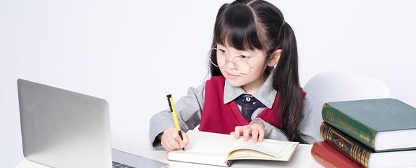 编程是AI时代的基本技能
