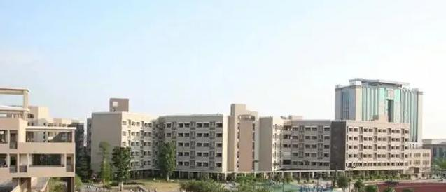 佛山华英学校国际部2022年学费标准