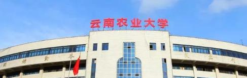 云南农业大学是不是985大学?