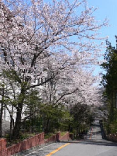 创造学园大学