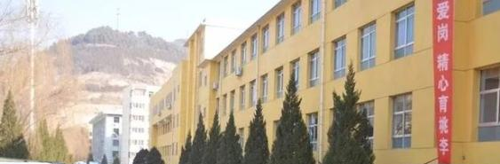  宝塔区第二中学2020年学费、收费多少