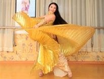 舞动金翅