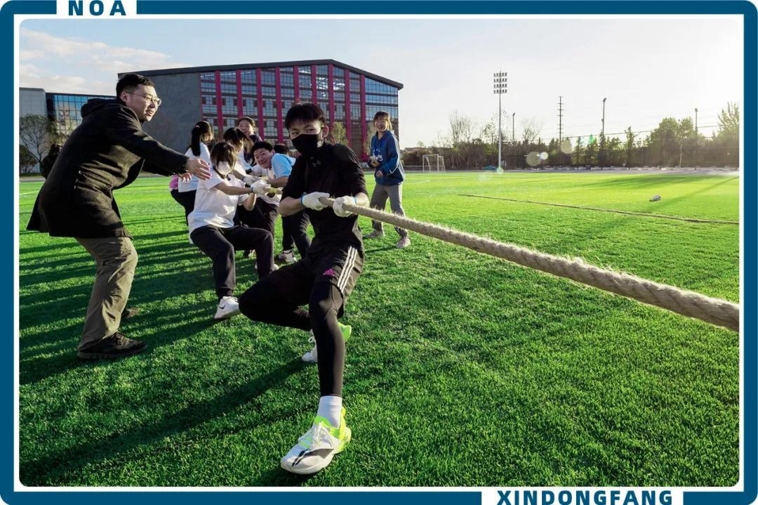 青岛新东方双语学校