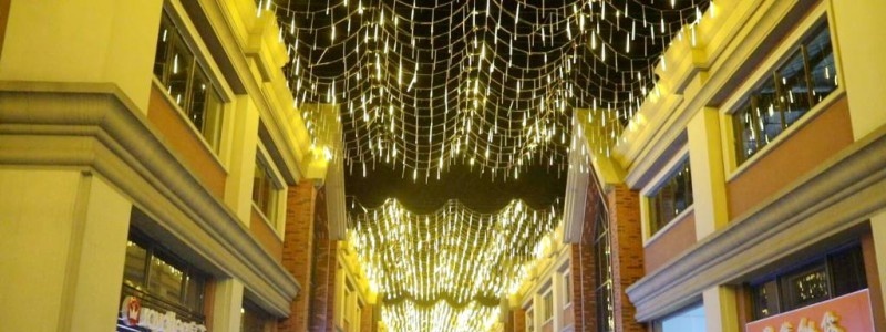 江南影视艺术职业学院单招2020年单独招生录取分数线