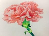 武汉新思维设计培训