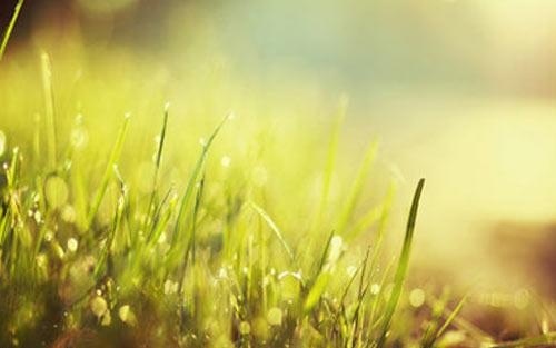 英语作文细节描写