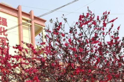 临潼区职业教育中心