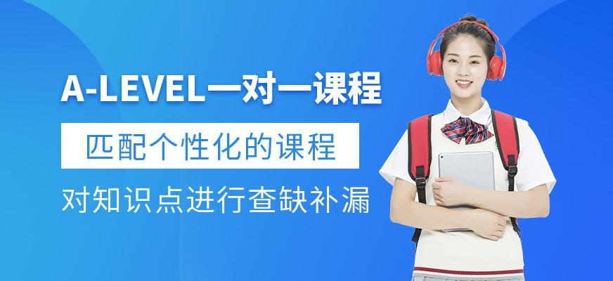 A-Level一对一课程