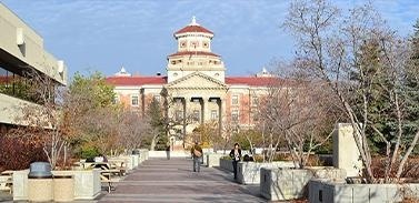 曼尼托巴大学