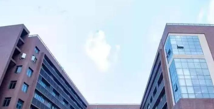 深圳蛇口国际学校小学部靠谱吗