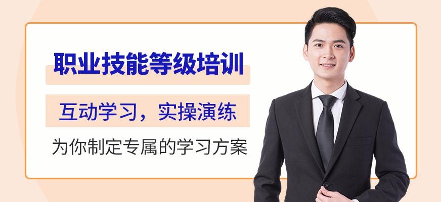 职业技能等级培训