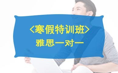 雅思一对一提分宝