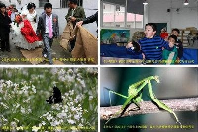 中加枫华国际学校家长相信的力量:用心的看见
