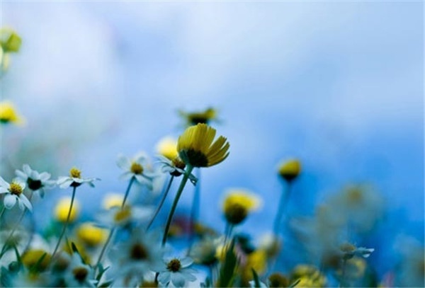 如何调整学习态度？