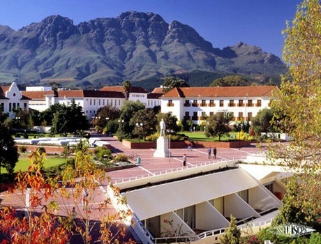 斯坦陵布什大学