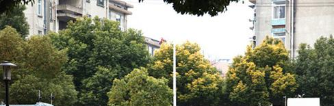 无锡第六高级中学2021年招生简章