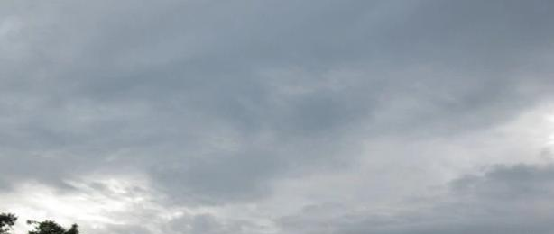 截图_20211116125615