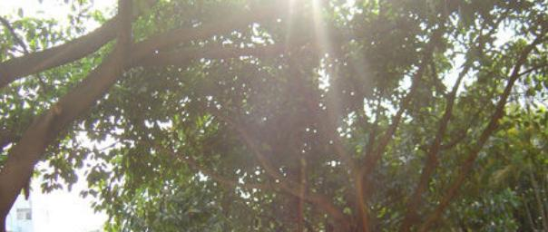 中山南朗李东海理工学校招办