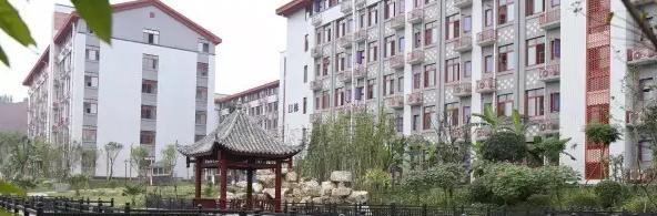 遂宁东辰荣兴国际学校小学部网站