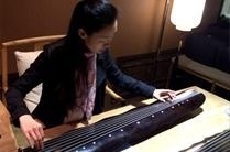 普悦茶艺学校