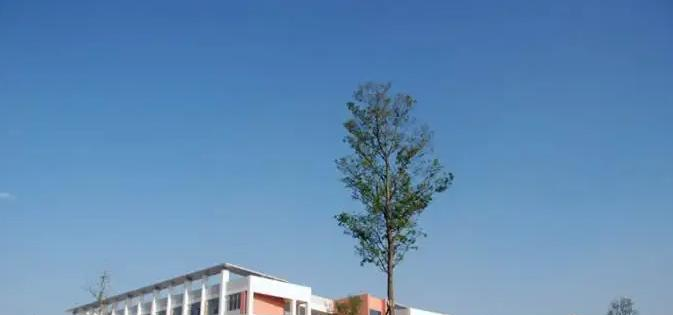 树德中学国际部2022年招生政策