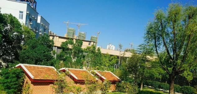 江西艺术职业学院五年制大专2020年报名条件、招生要求、招生对象