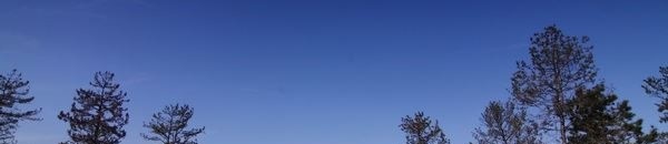 西安电子科技大学排名 2022年最新排行榜 2022 西安电子科技大学全国排名(西安电子科技大学历年全国排名)