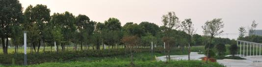 安徽体育运动职业技术学院是几专