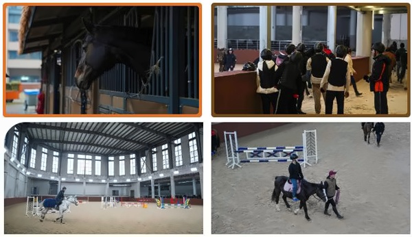 上海uec中心马术课.jpg