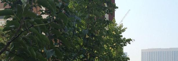 山西省实验中学2023年招生计划