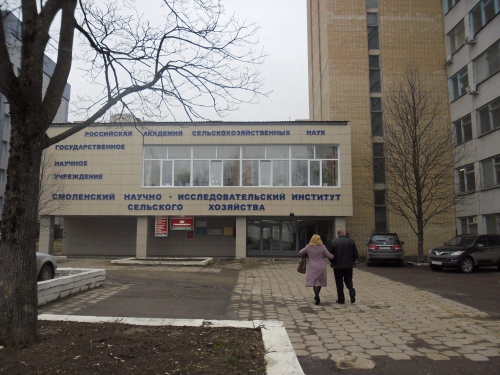 国际经济与法律学院