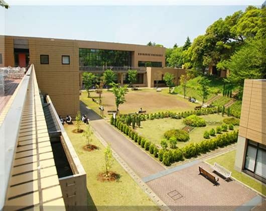 淑德大学