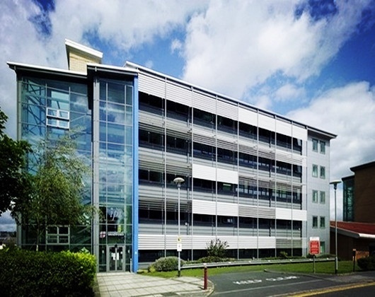 布拉德福德大学