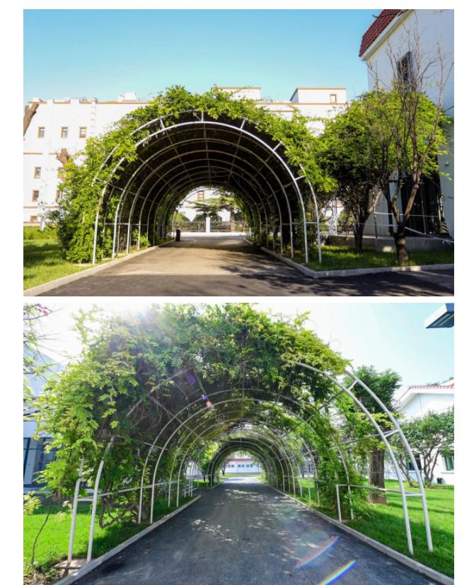 北京市朝阳区赫德学校