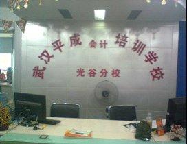 武汉平成会计