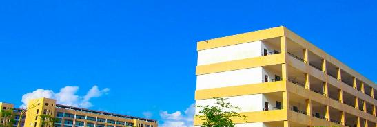 广西国际商务职业技术学院2020年报名条件、招生要求、招生对象