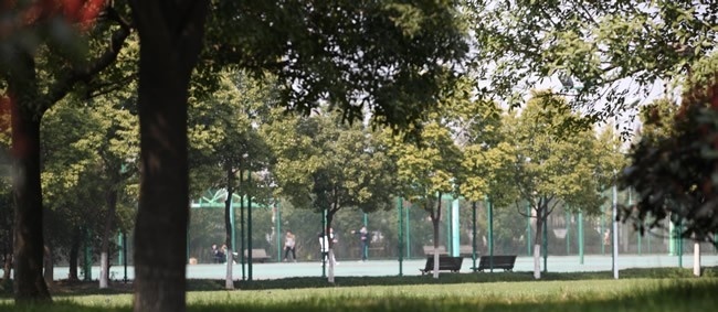 绍兴职业技术学院单招报名条件