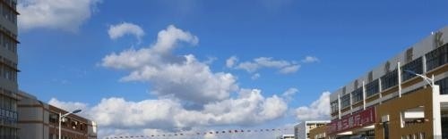 烟台工程职业技术学院单招2019年单独招生报名时间、入口
