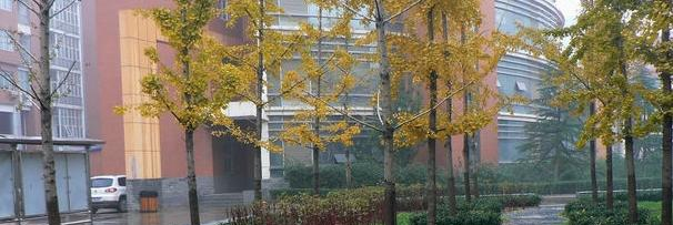  石家庄第四十四中学2020年招生办