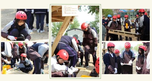 清华志清国际高中课程