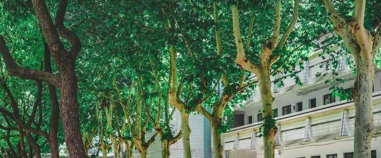 2023南京市第六十六中学招生计划 招生人数是多少(附要求、条件、对象)