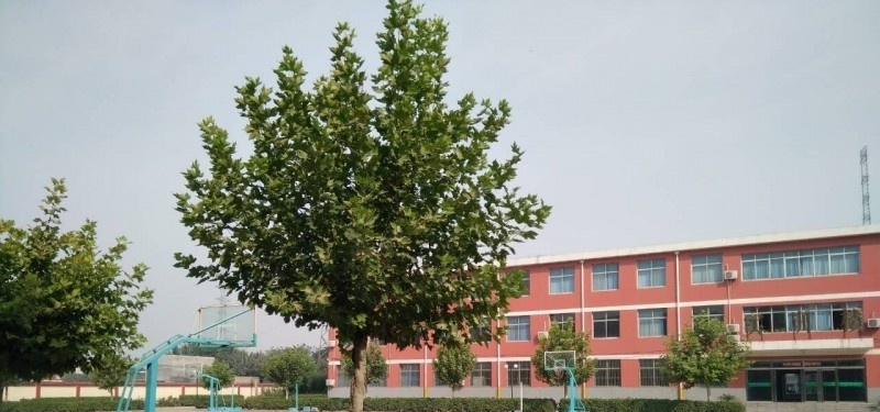 固安职业中学