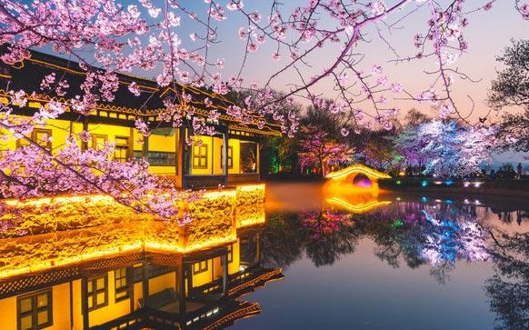 杭州艺上培训