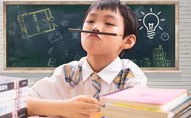 幼儿编程入门先学什么