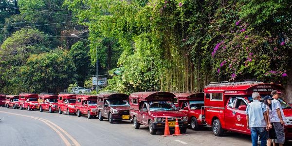 昆明新励成口才培训机构地址